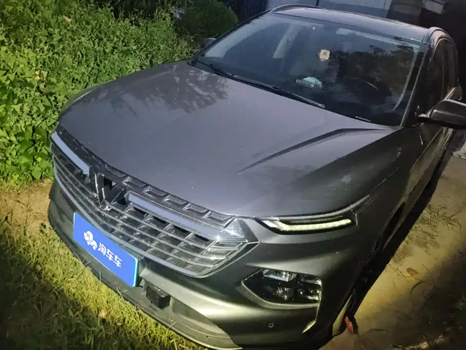 Wuling Wuling Capgemini