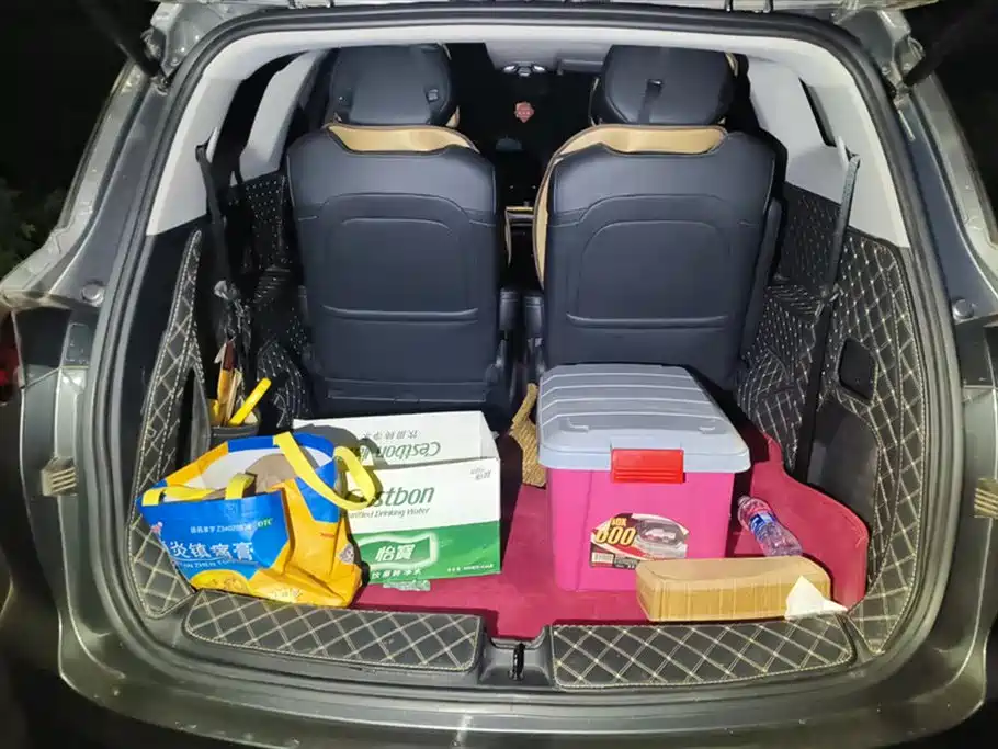 Wuling Wuling Capgemini