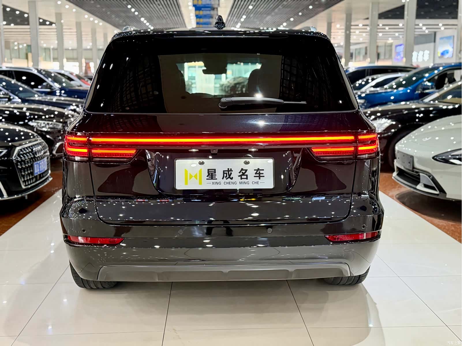 Li Auto ONE, 2023 15