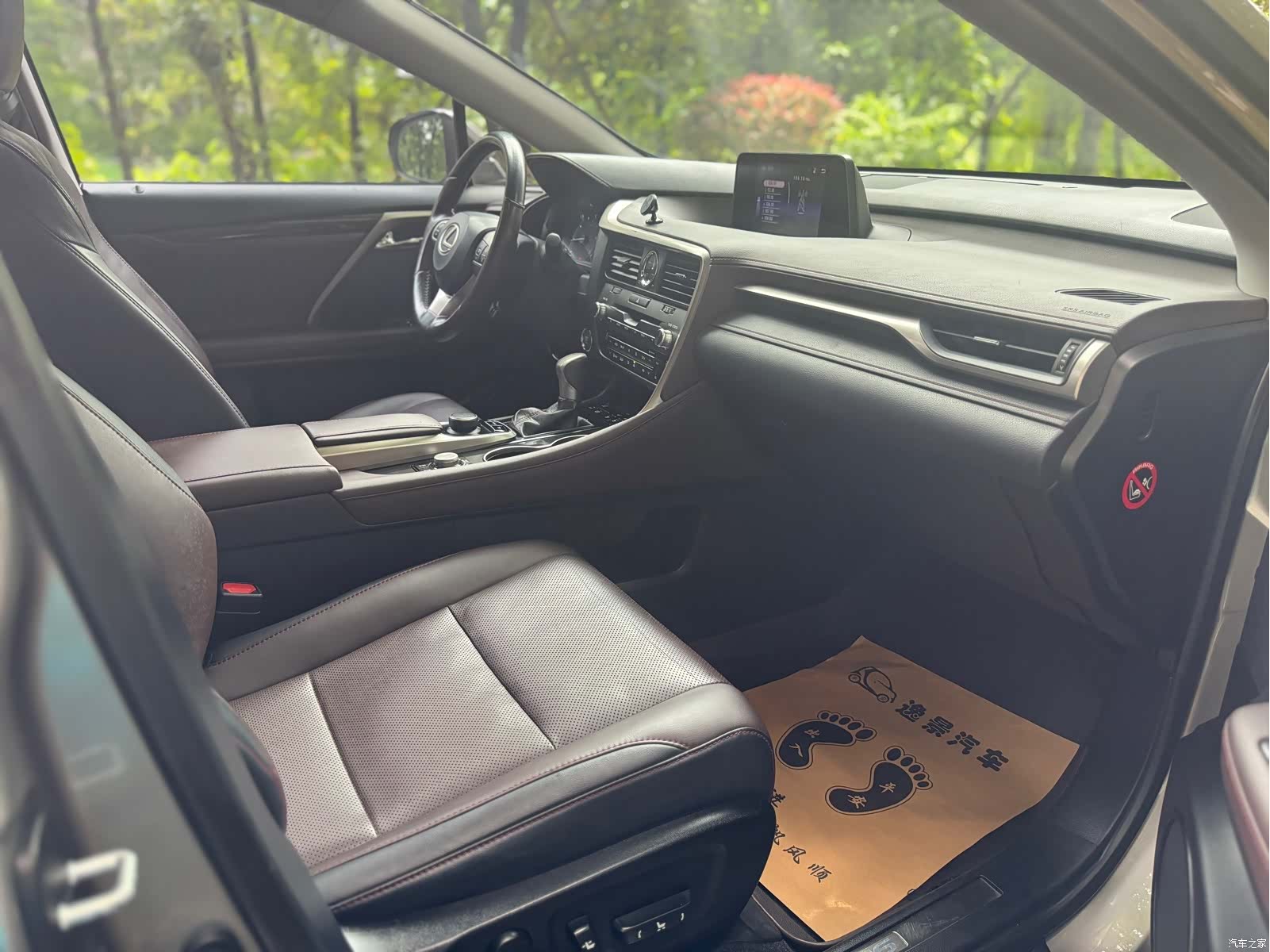 Lexus RX, 2017 11