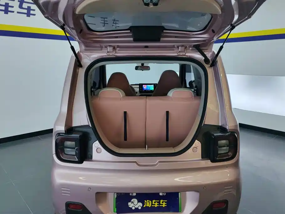 Geely Galaxy panda