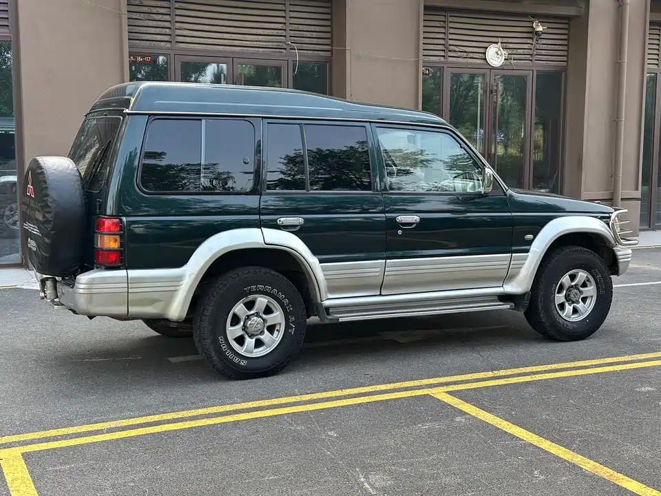 Leopaard Cheetah 6481