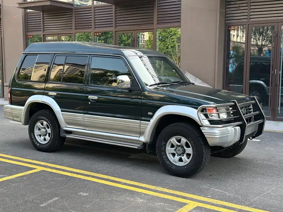 Leopaard Cheetah 6481