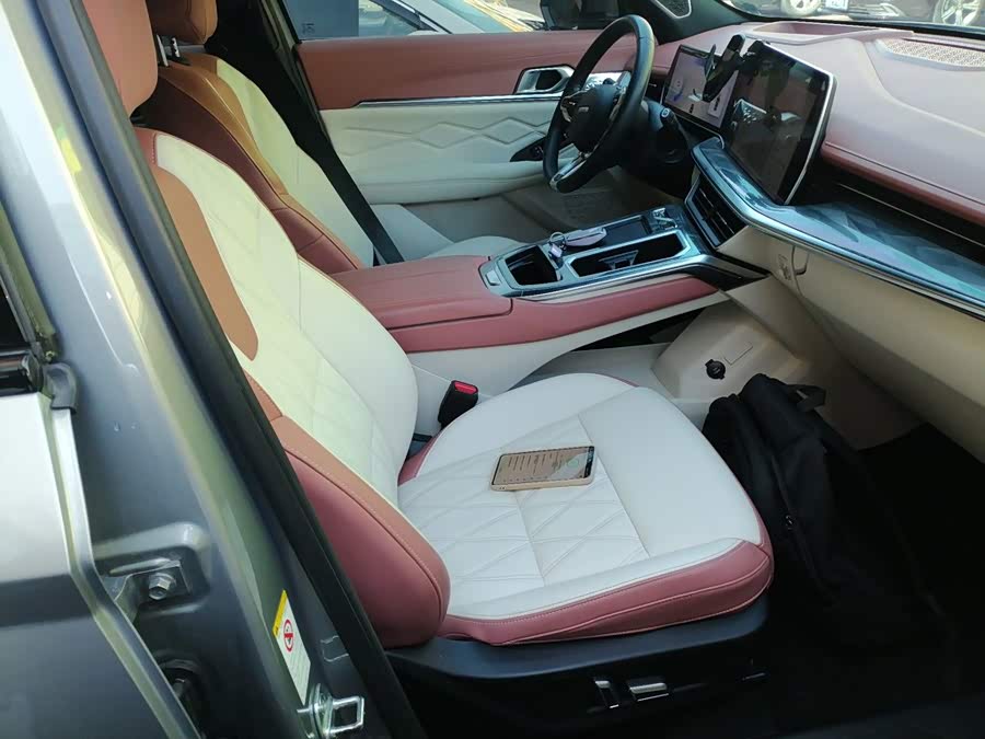 Haval Shenshou 2022, фото 25