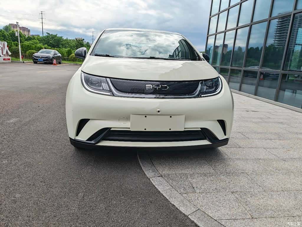 BYD Dolphin, 2025 2