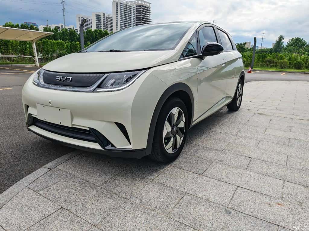 BYD Dolphin, 2025 1