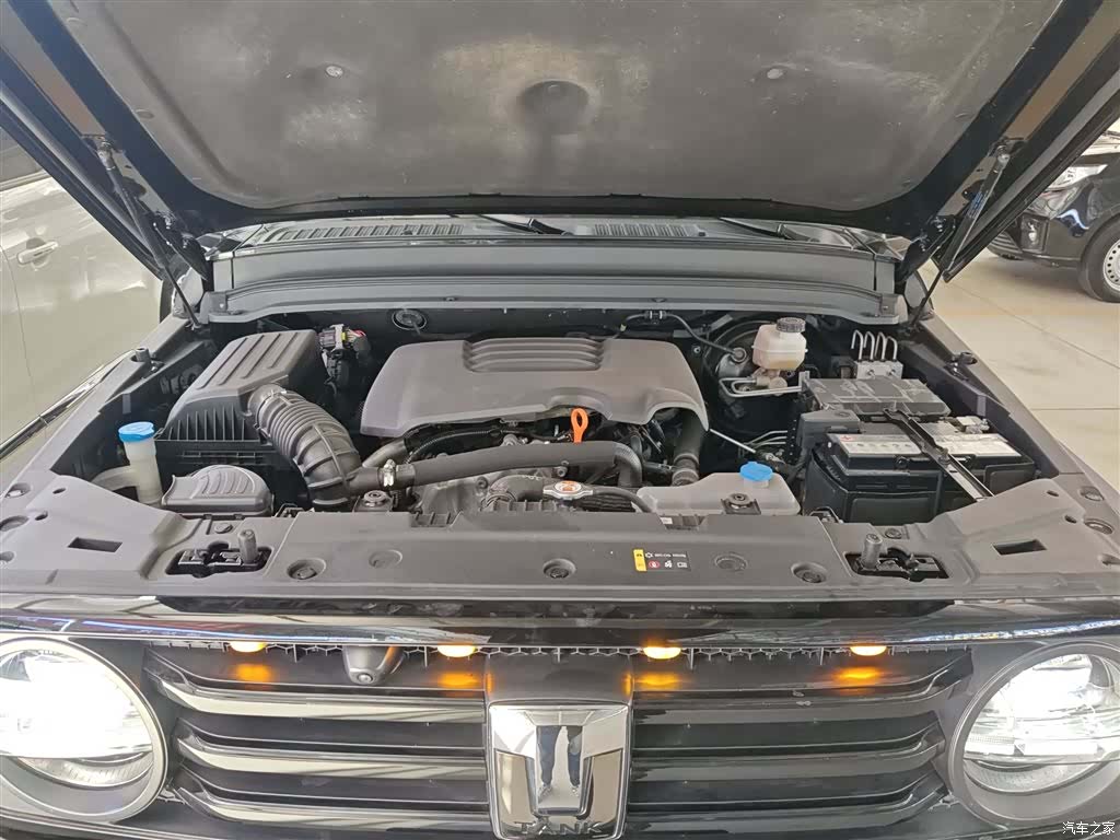 Tank 300, 2022 10