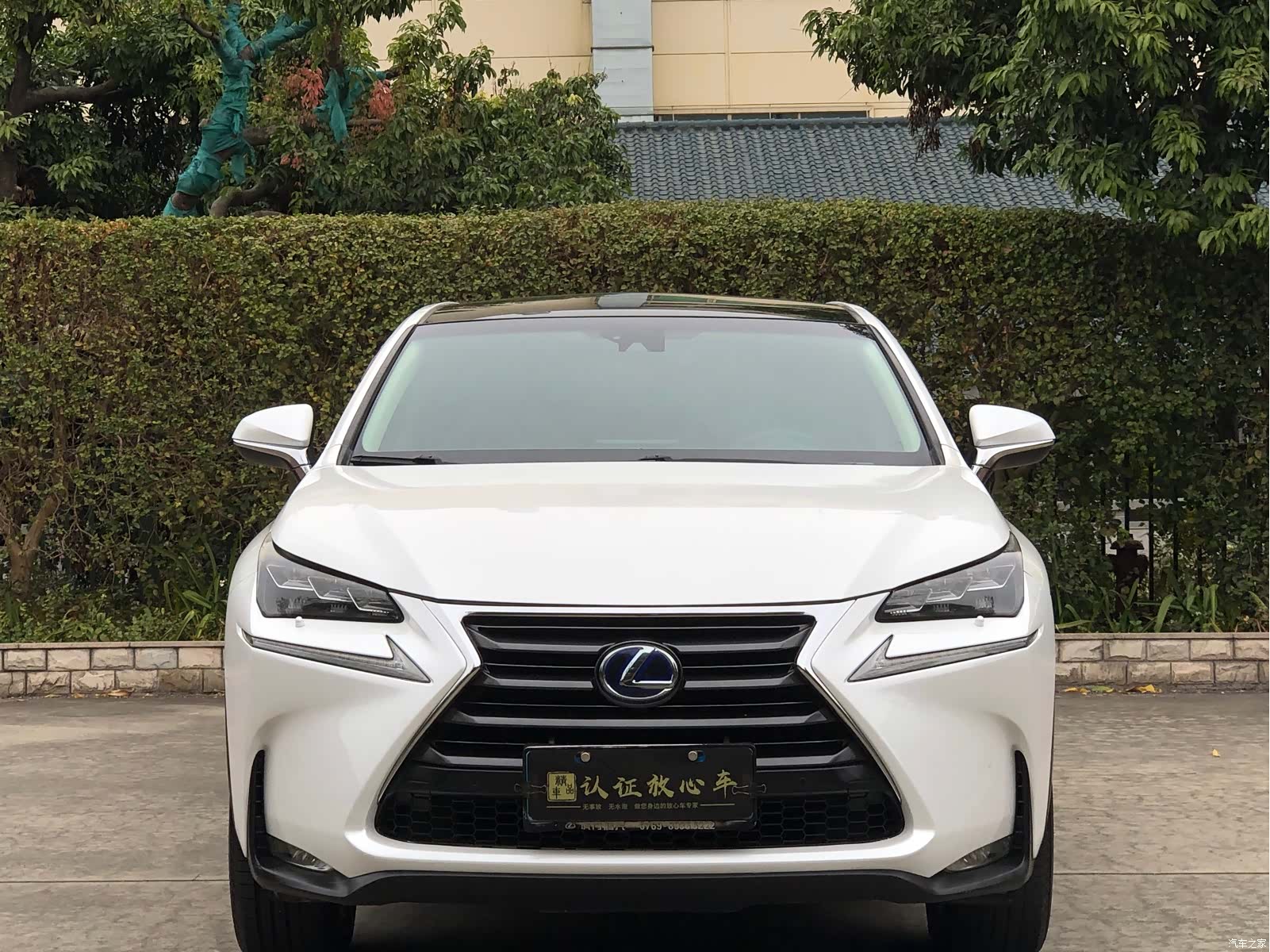 Lexus NX, 2016 2
