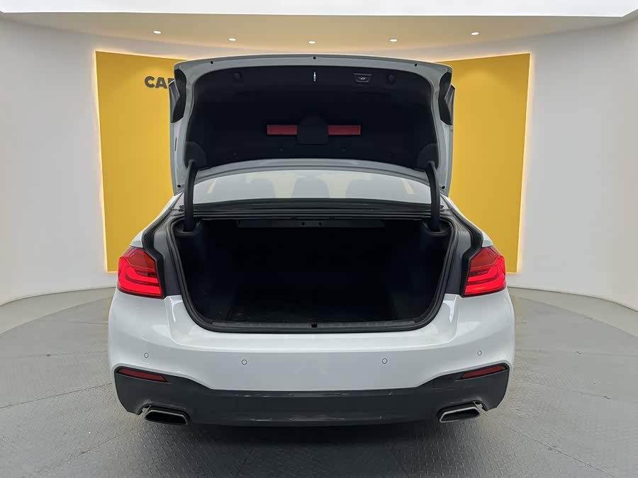 BMW 5 Series 2019, фото 11
