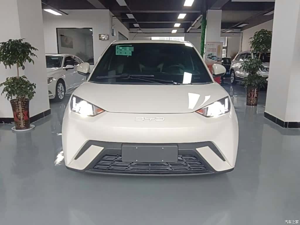 BYD Seagull, 2024 3