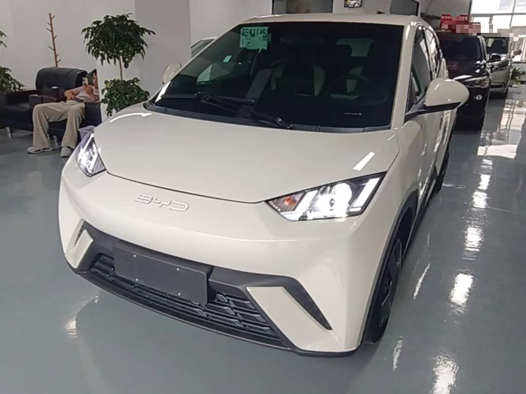 BYD Seagull