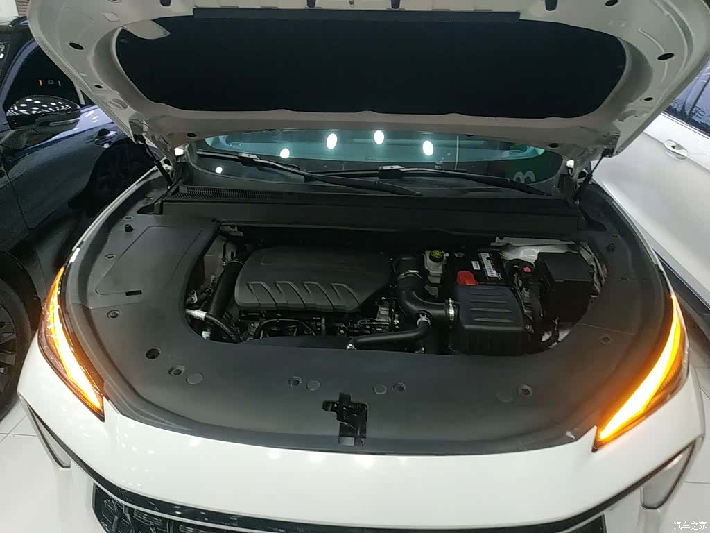DongFeng T5, 2024 16