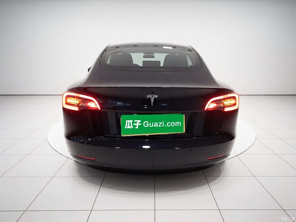 Tesla Model 3, 2021 4