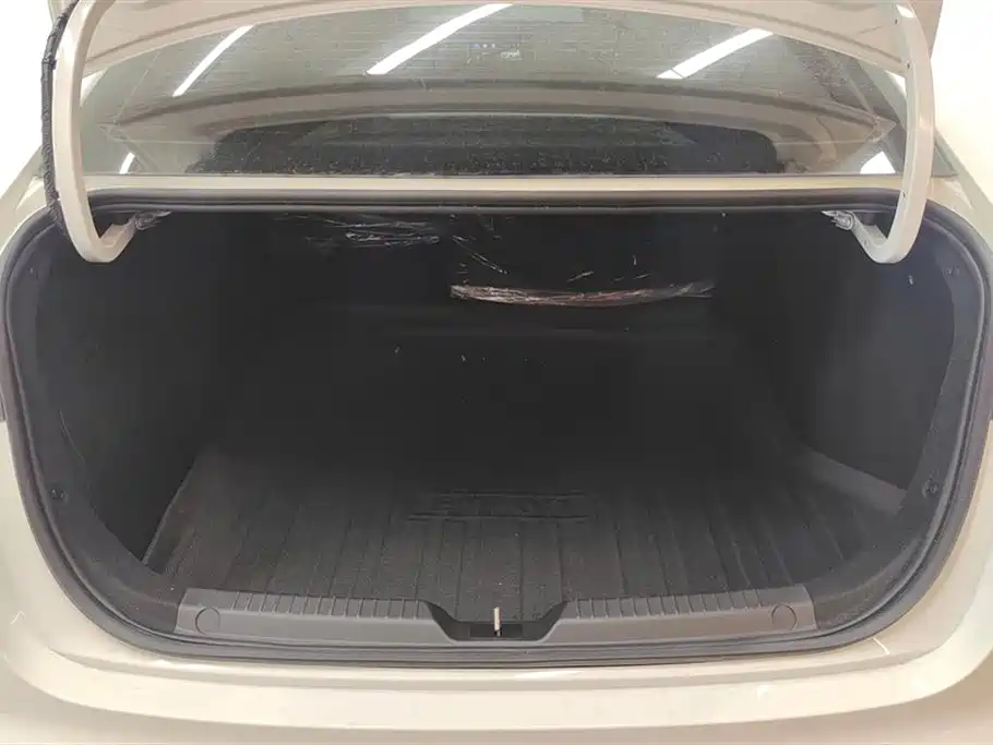 Trumpchi Shadow Leopard