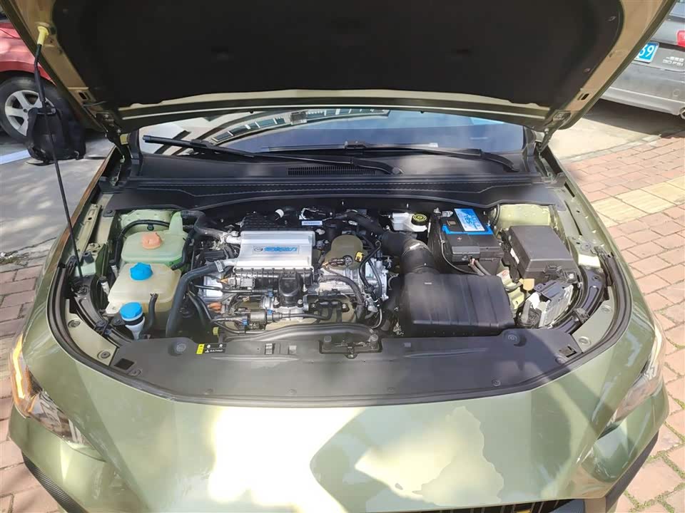 Trumpchi Shadow Leopard