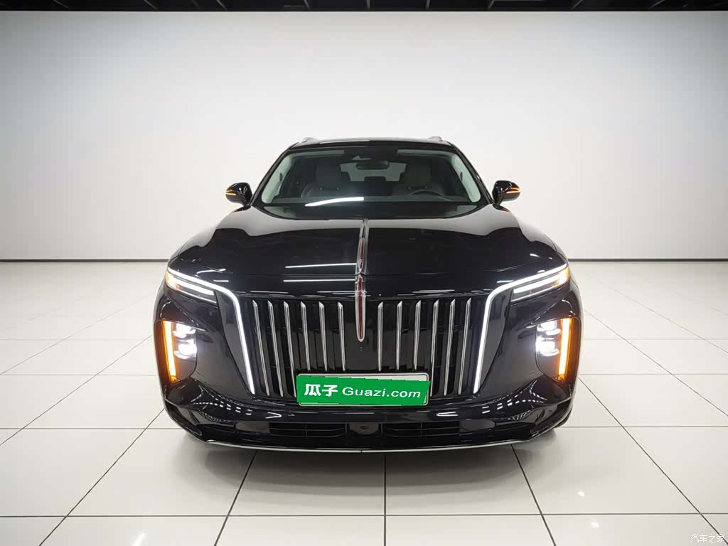 Hongqi E-HS9, 2023 3