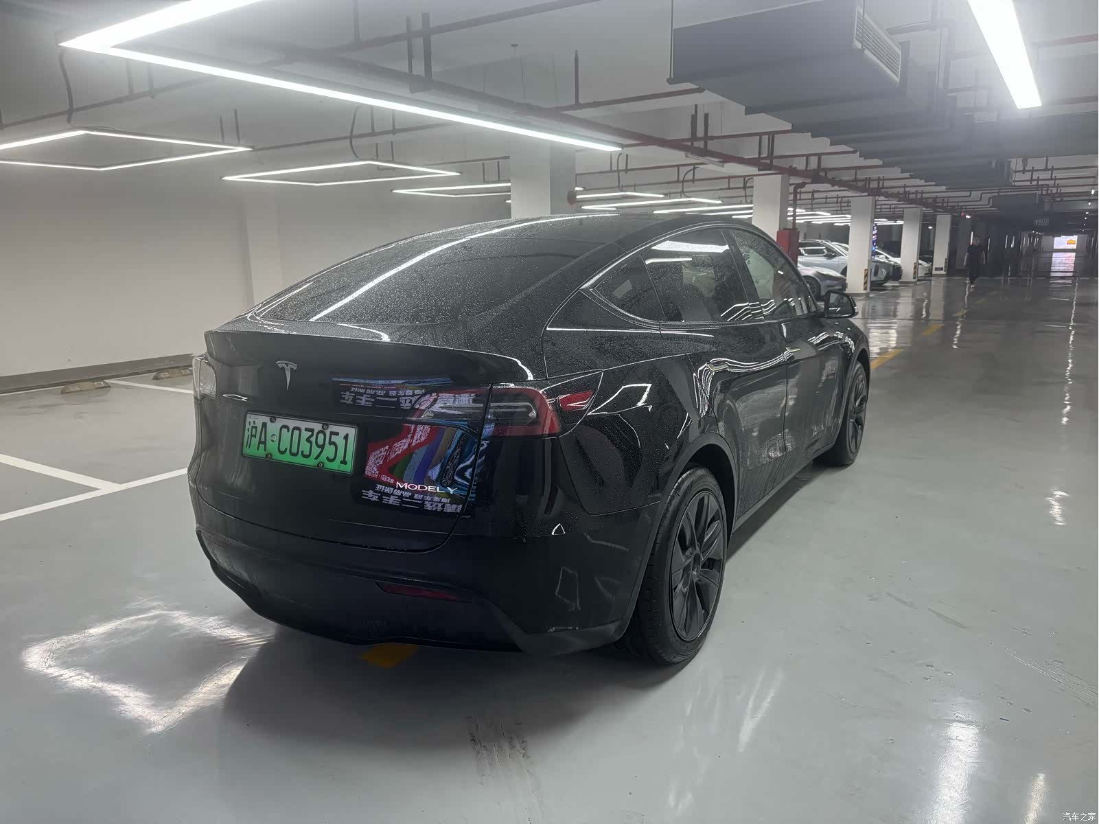 Tesla Model Y, 2023 все фото