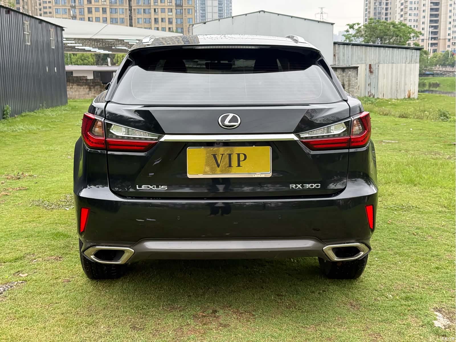 Lexus RX, 2019 все фото