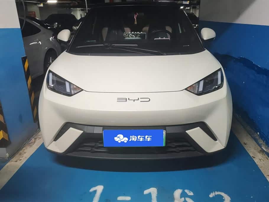 BYD Seagull
