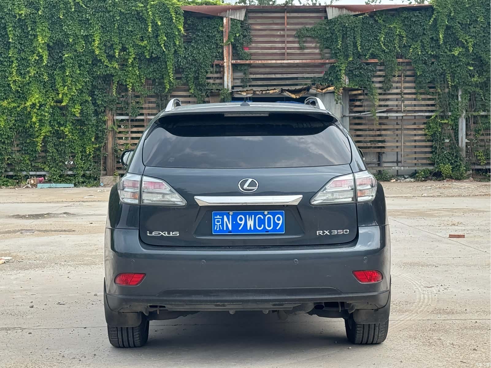 Lexus RX, 2009 все фото