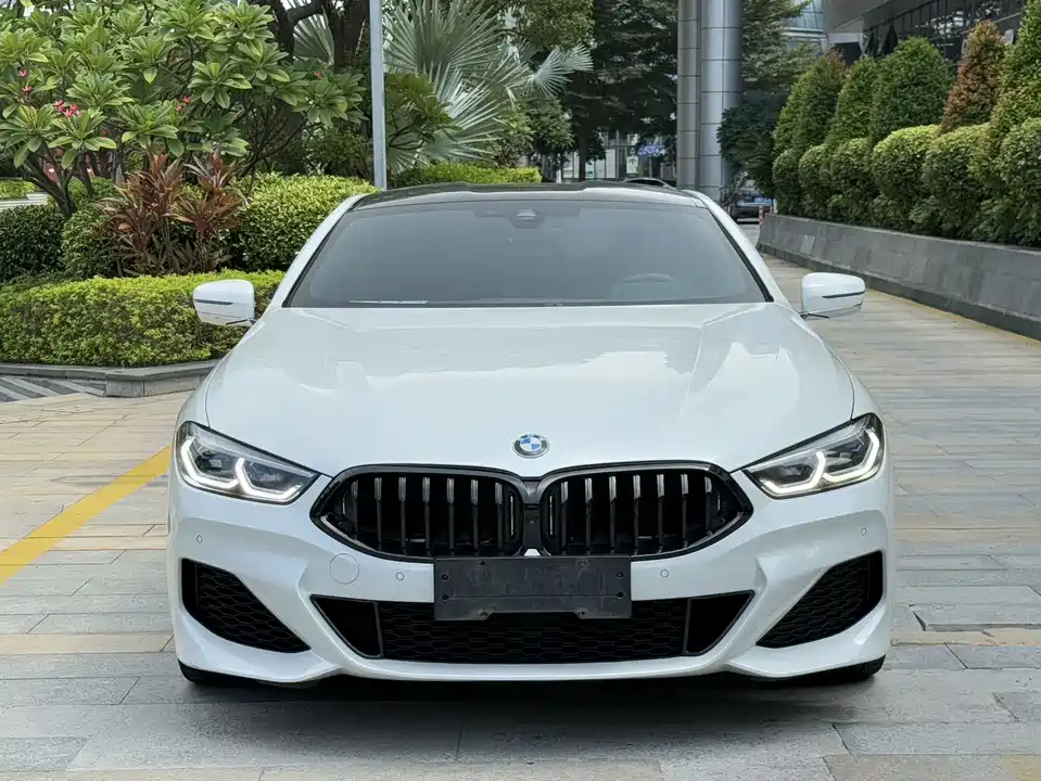 BMW 8 series