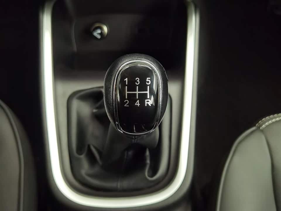 Shineray Golden Sea Lion M