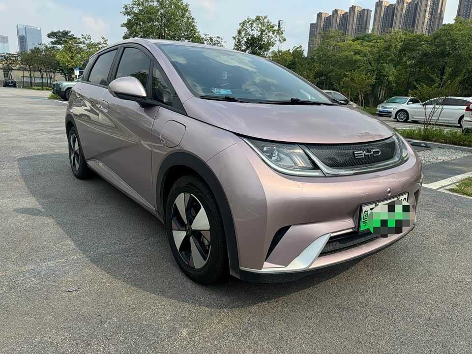 BYD dolphin