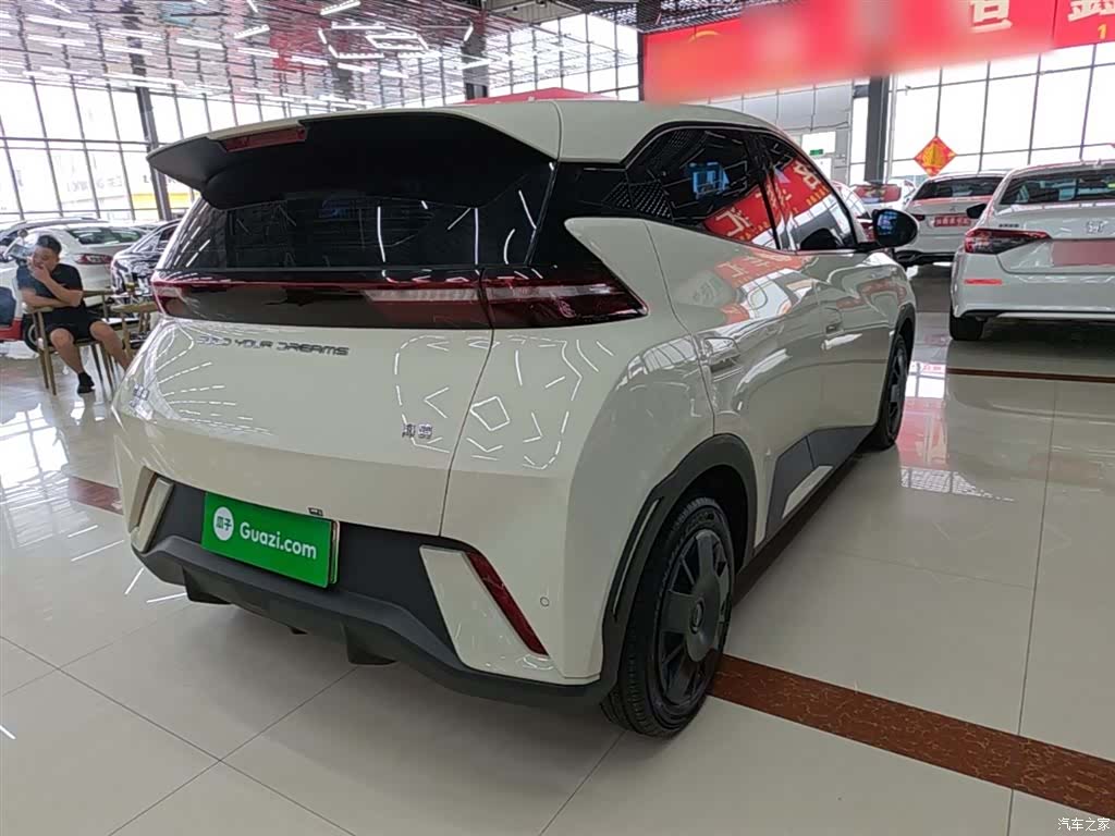BYD Seagull, 2024 7