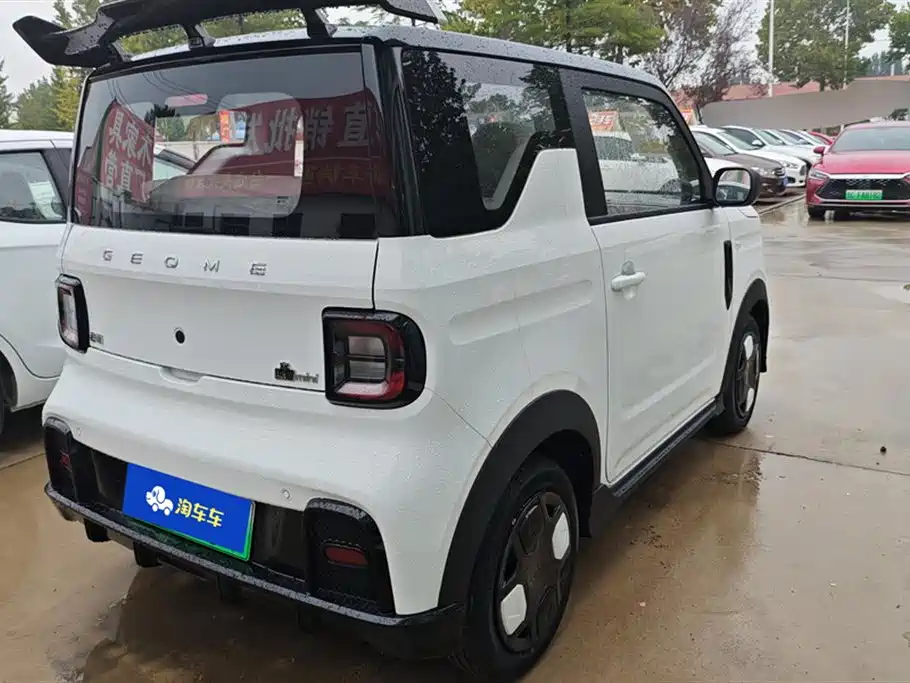 Geely Galaxy panda