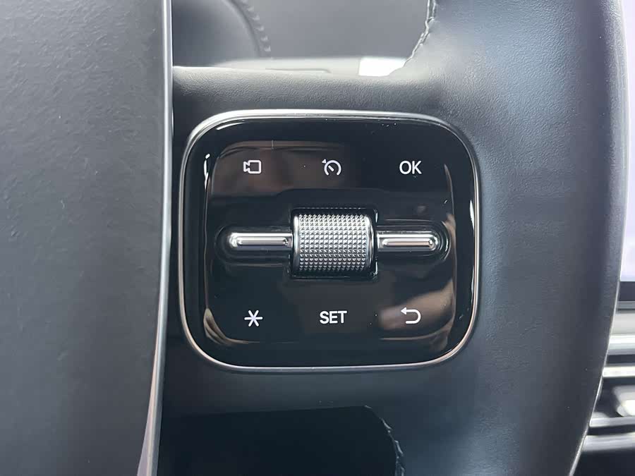 Li Auto L9 2022, фото 7