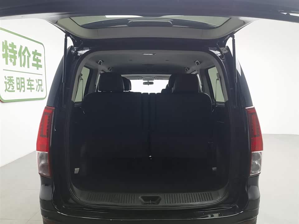 Forthing Lingzhi PLUS