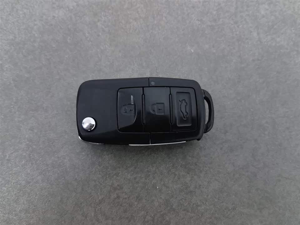 Forthing Lingzhi PLUS