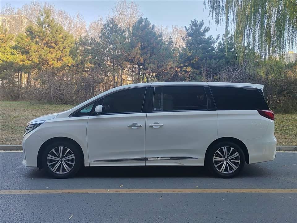 Trumpchi Trumpchi M8