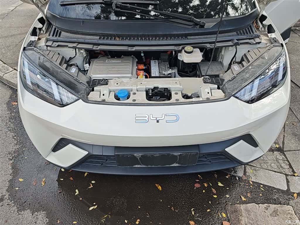 BYD Seagull, 2024 20