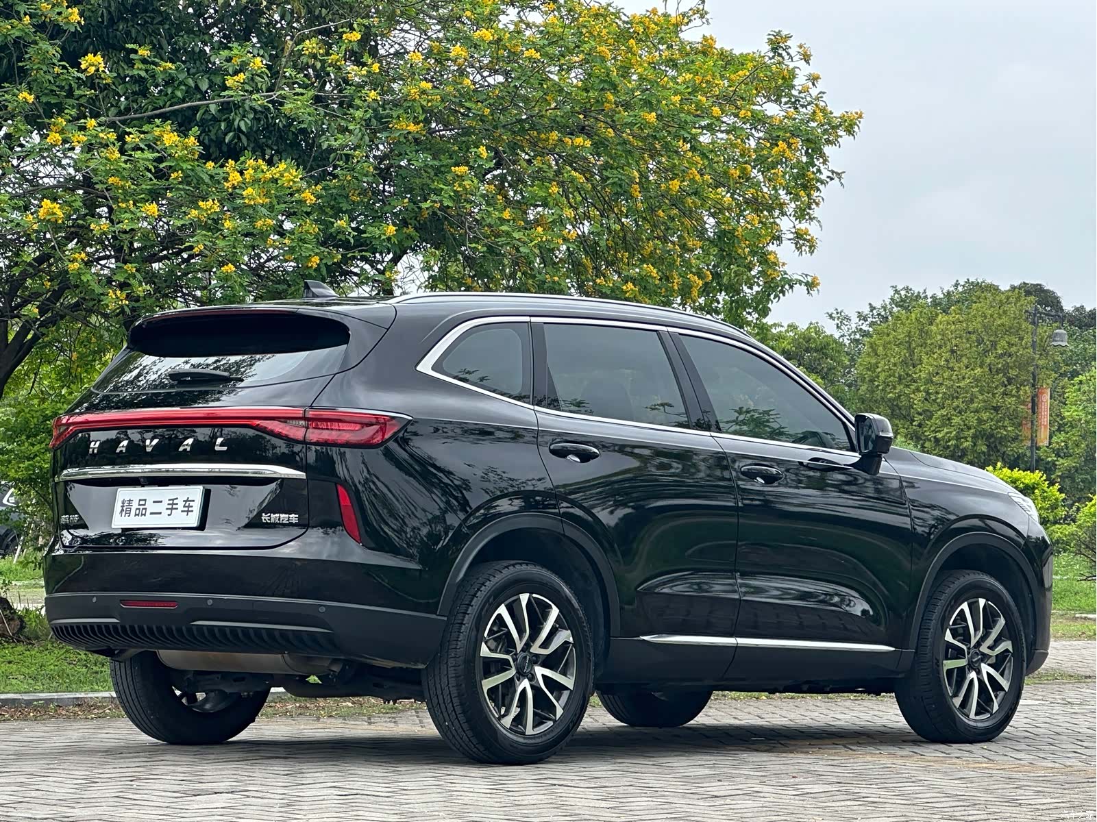Haval H6, 2023 все фото