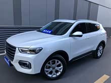 ����H6 2019�� 1.5GDIT �Զ��ھ��� ��VI