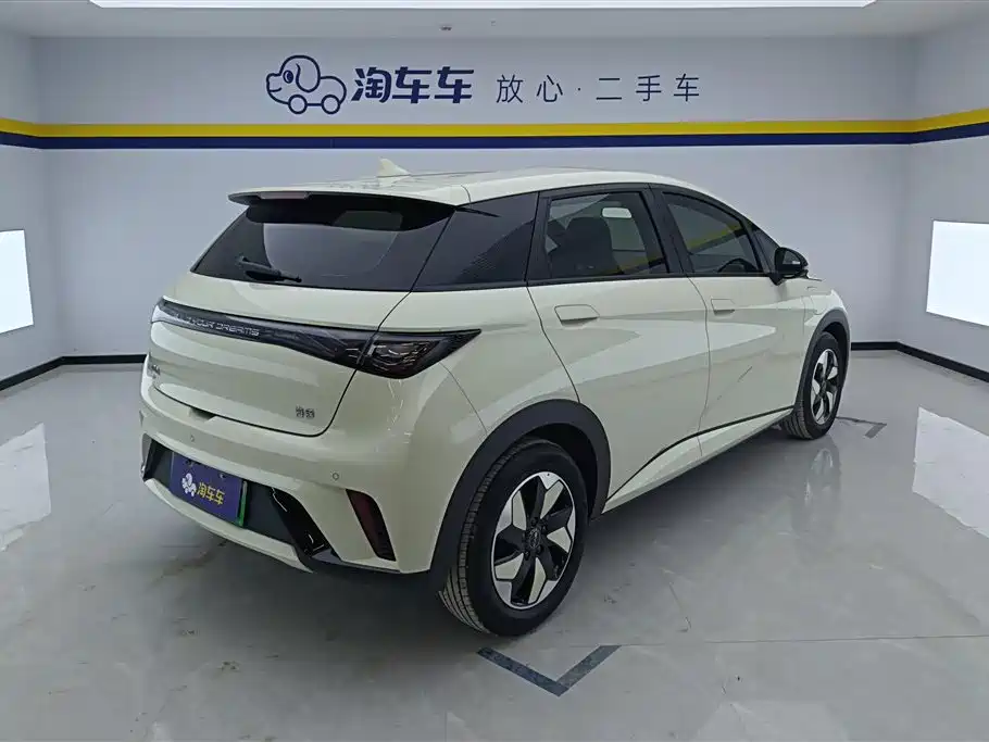 BYD dolphin