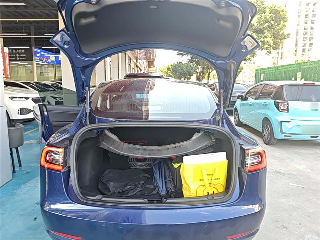 Tesla Model 3, 2020 19