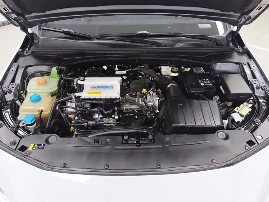 Trumpchi Shadow Leopard