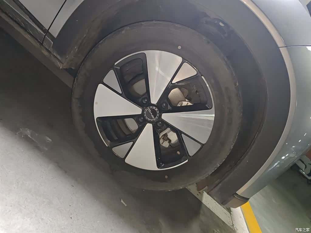 BYD Dolphin, 2024 16