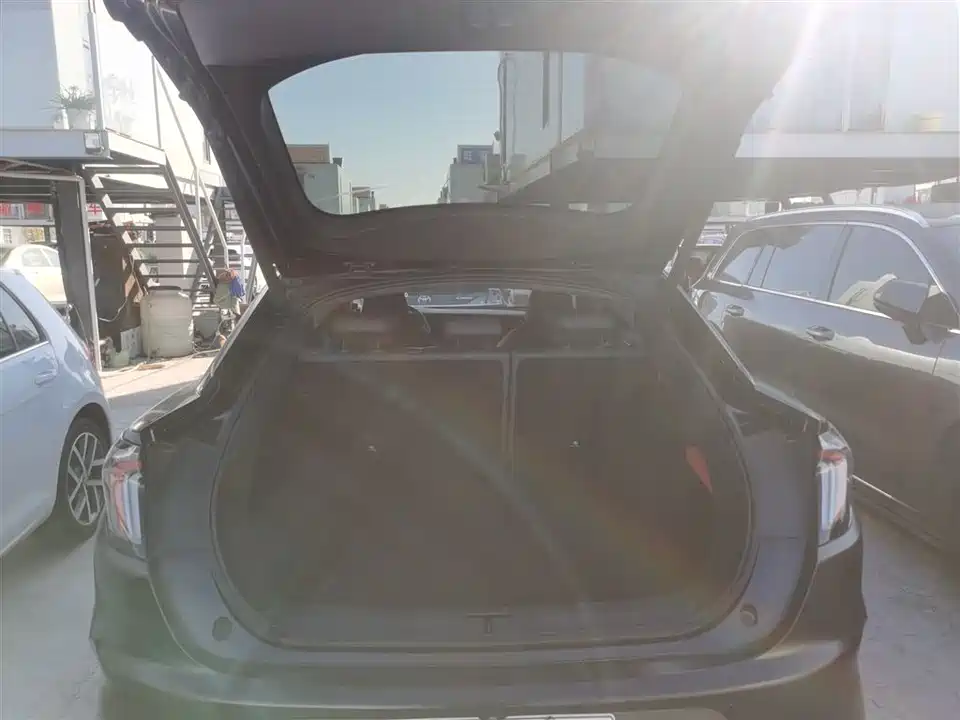 ARCFOX Polar Fox Alpha S