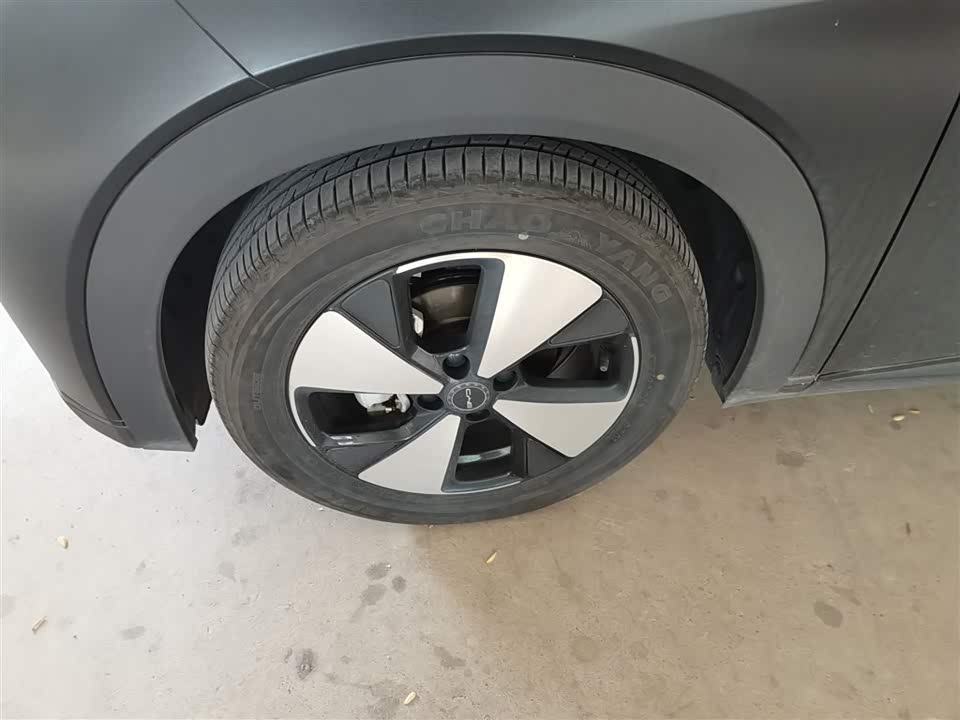 BYD dolphin