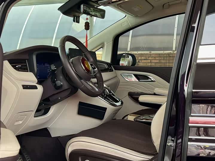 Hongqi Hq9, 2023 года фото 10