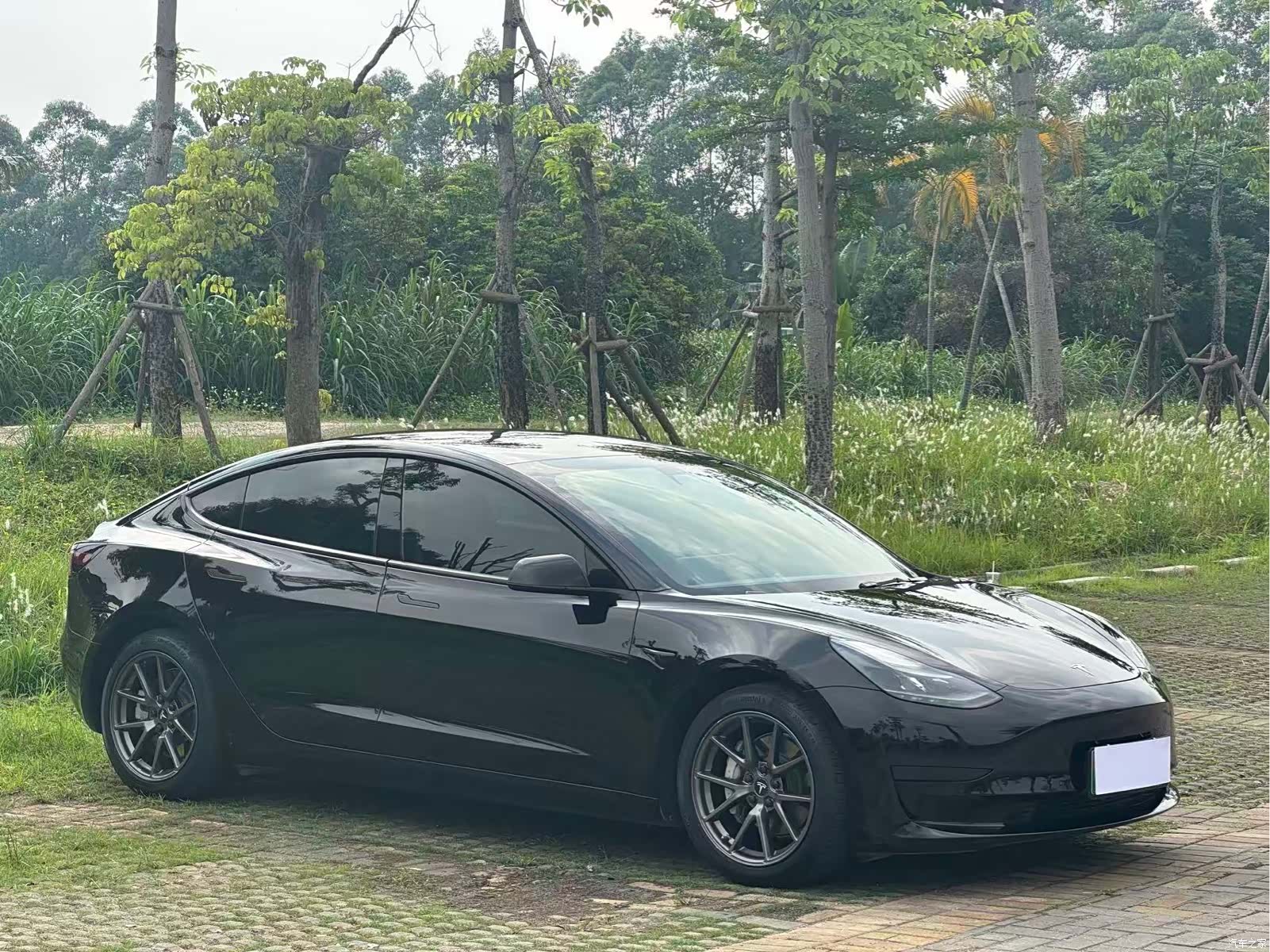 Tesla Model 3, 2021 3