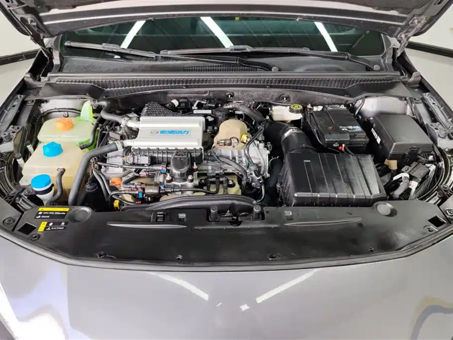 Trumpchi Shadow Leopard