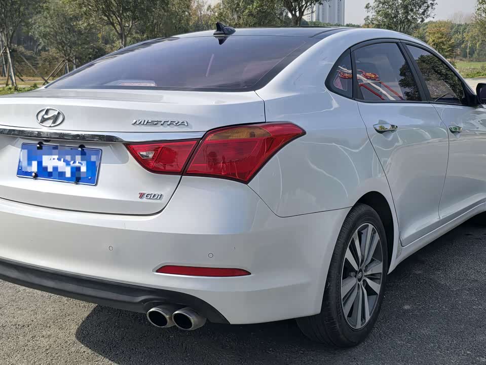 Hyundai Name picture