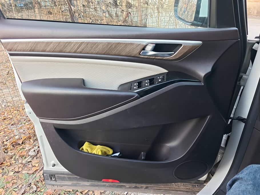 Trumpchi Trumpchi M8