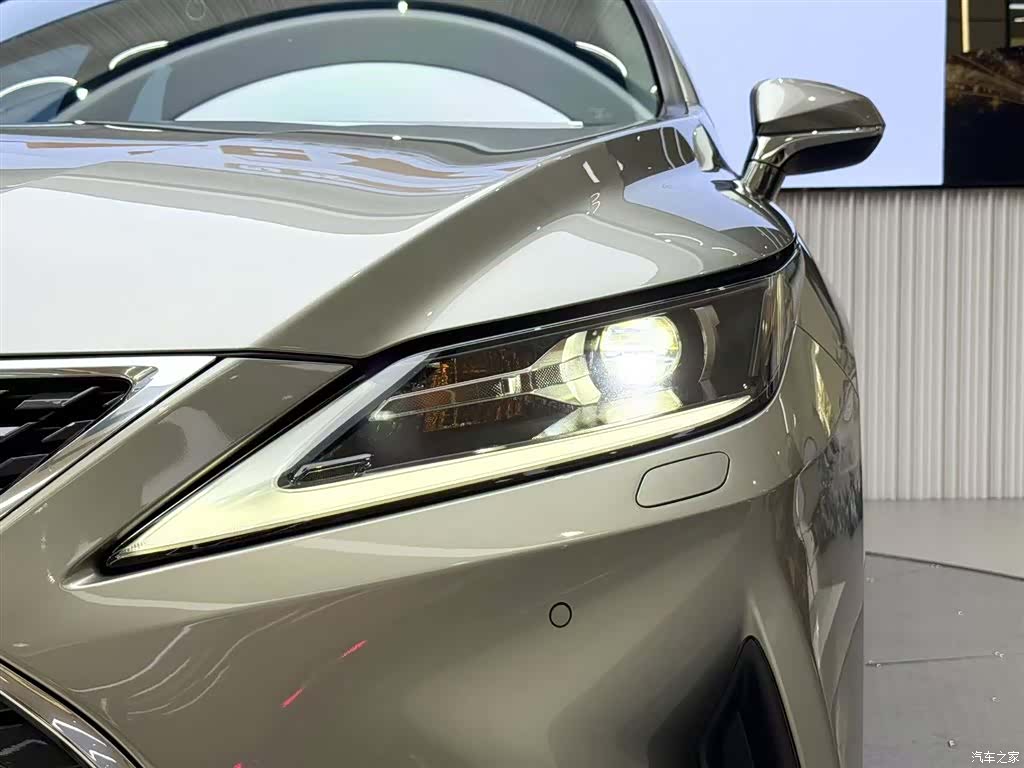 Lexus RX, 2021 6