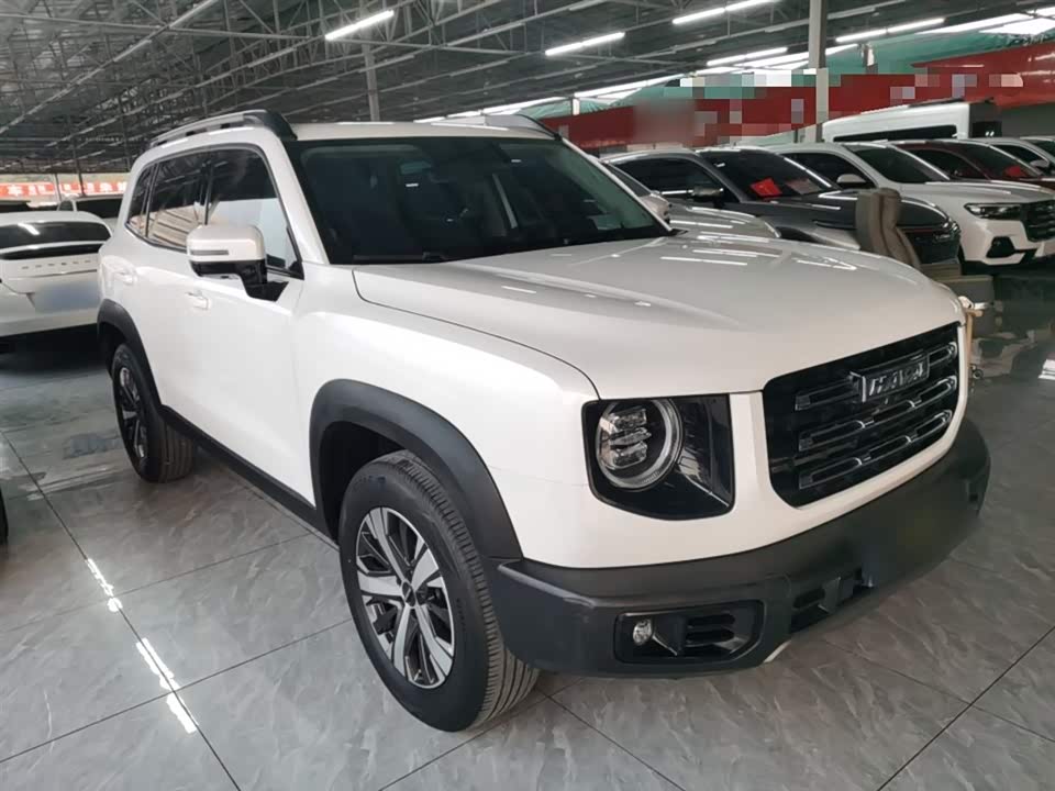 Haval Big dog