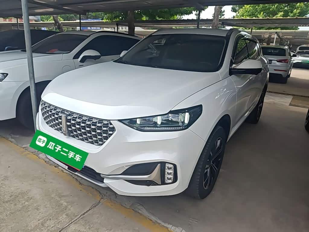 Wey VV6